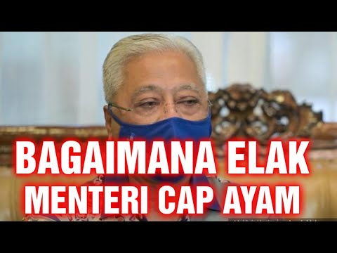 Bagaimana elak pilih menteri cap ayam‼️