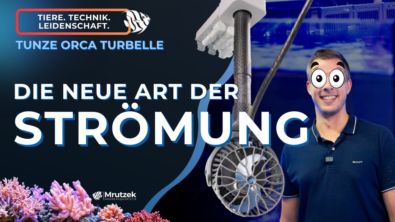 Tunze ORCA Dreheinheit – Bastis erster Eindruck & warum diese Strömungspumpe wirklich innovativ ist!