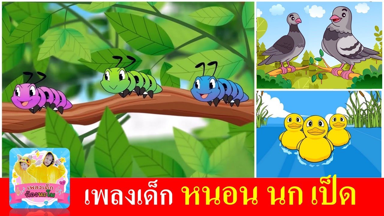 เพลงเด็กอนุบาล หนอน นก เป็ด | การ์ตูนสัตว์ 3 ชนิด | เพลงหนอนผีเสื้อ เพลงนกเขา เพลงเป็ดก้าบก้าบ