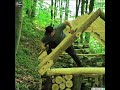 Timelapse building a wooden house in 3 minutes