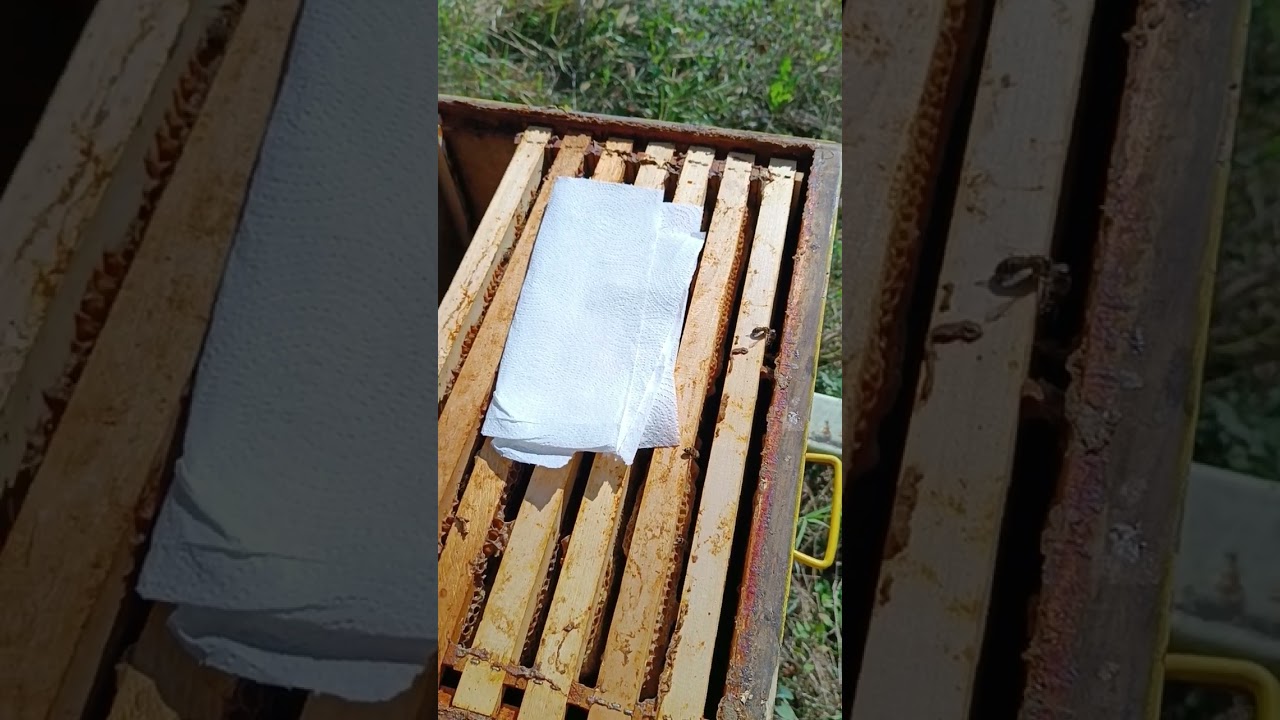 Tratament acid formic! Atenție la echipament, arde rău!