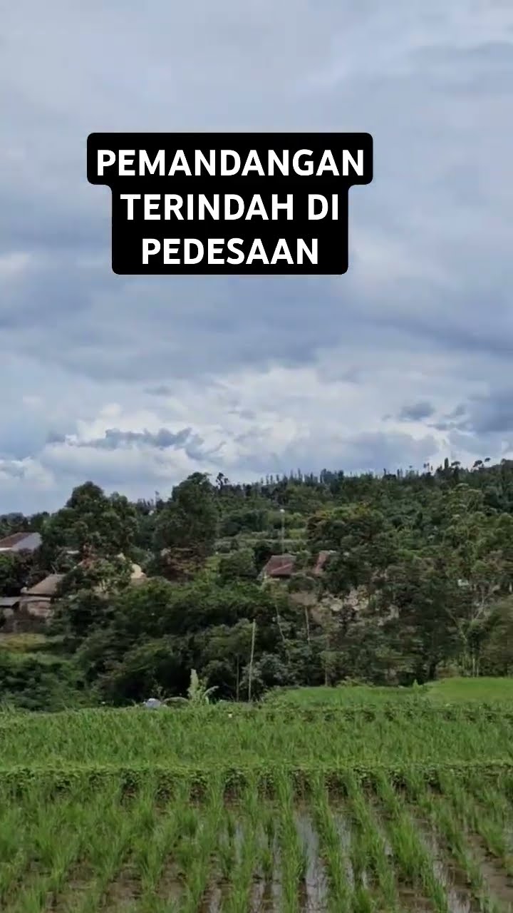 Indahnya Suasana Di Pedesaan