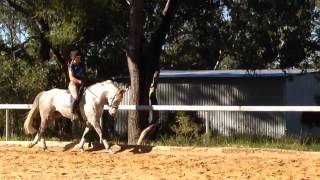 Aussie Flatwork 5 - 03.04.2014