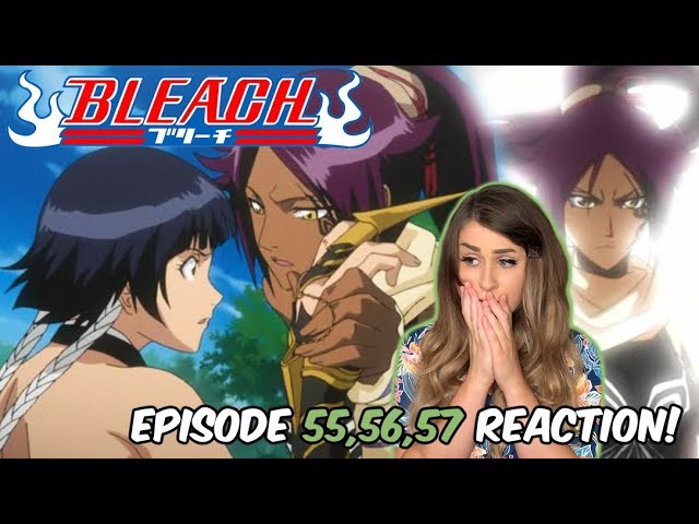 Bleach Recap 2020, Day 23, Episode 23: The Enigmatic Kukaku Shiba – Weeb  the People