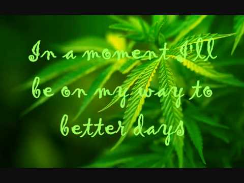 Rebelution - Feeling Alright with lyrics on the screen