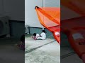 虫取り網で捕まえてみました