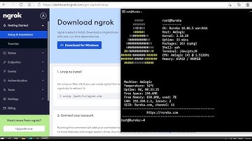 Install Ngrok Di OpenWrt Router, Bisa Access Web Luci Dari Mana SajaTanpa Harus Punya IP Public