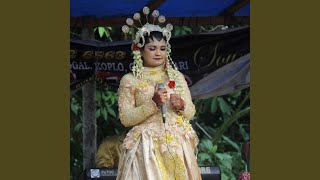 Download Lagu KUANTAN SINGINGI