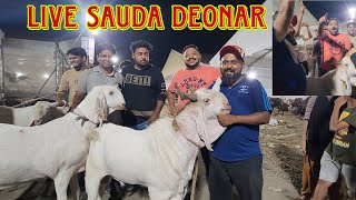 Rehman Mistry Ka Deonar Bakra Mandi Main Live Sauda | Biggest Goat Market In The World.