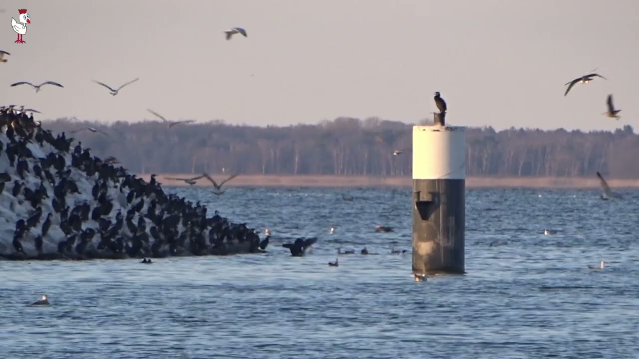 unterwegs am Hafen Barth (3-2025)
