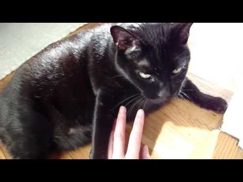 Bruno: Finger-Lickin' Good