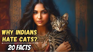 Why Do Indians Hate Cats?