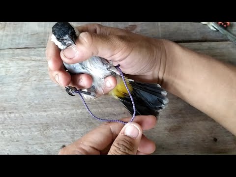 Membuat Anklet murah anti ribet & ruwet.