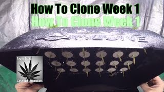 How To Clone Week 1