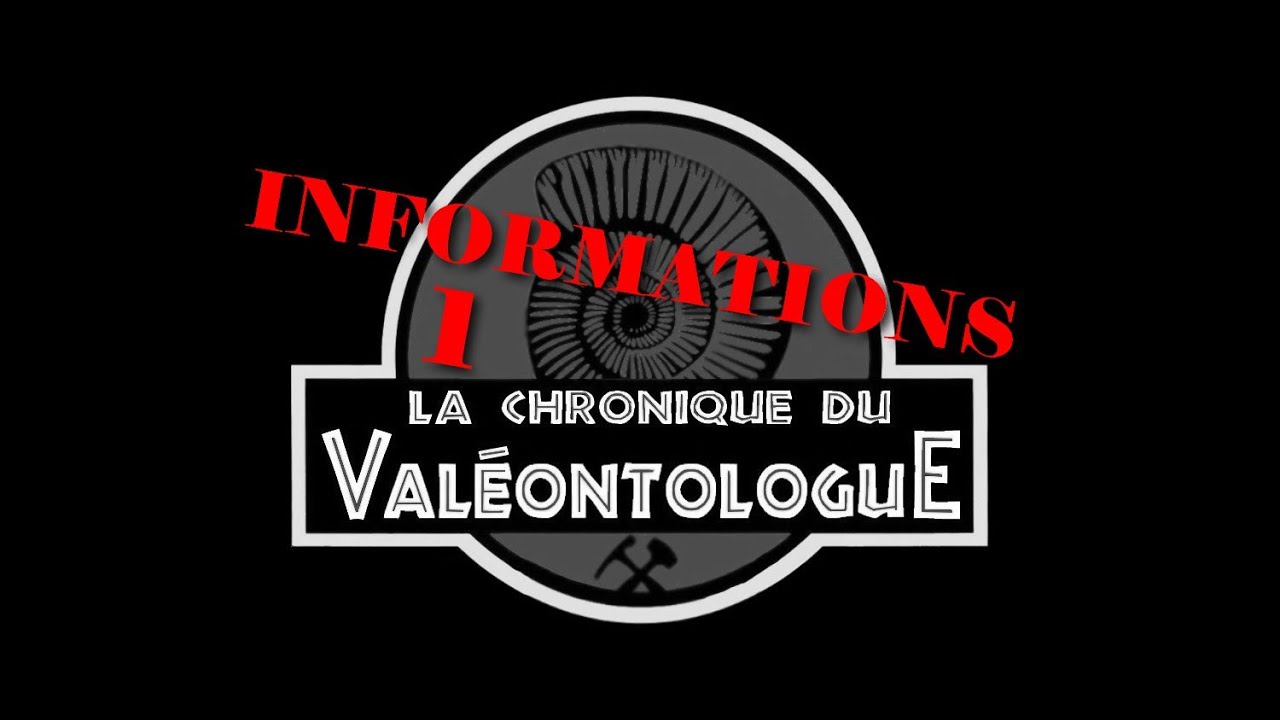 LCDV - Informations - YouTube