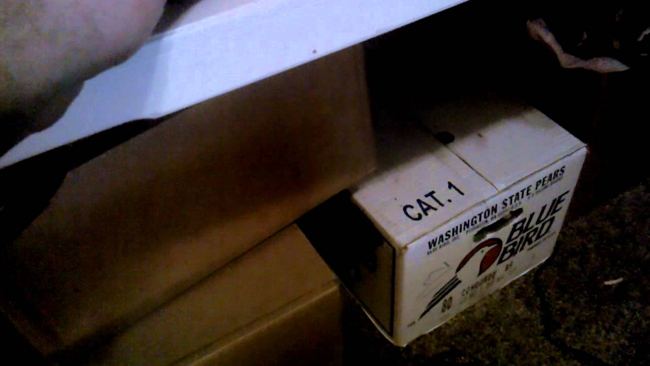 Diavoloquasar pipe test