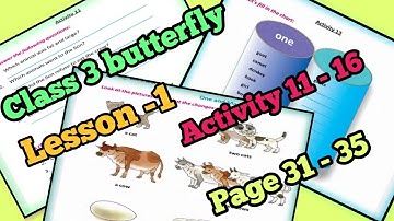 class 3 butterfly lesson-1 unit - 2 activity 11 - 16, page 31 - 35 / তৃতীয় শ্রেণীর বাটারফ্লাই সমাধান