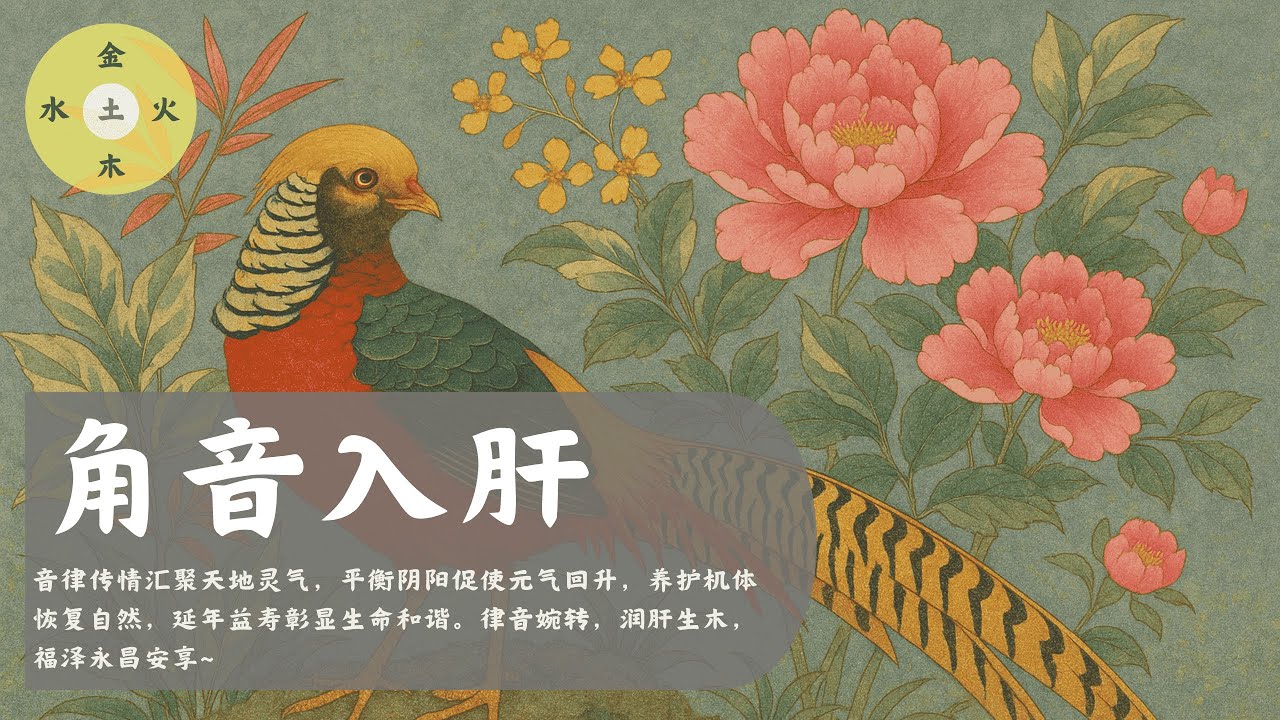 角音入肝（五音）- 🎉音律传情汇聚天地灵气，平衡阴阳润肝生木福泽安享~  Jue tone/肝に入る/静心/安神/失眠/舒缓/养生/中医五音/疗愈/五行/焦虑/Healing/Mindfulness/