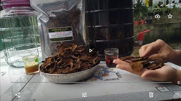 Chia Sẻ Về Cách Chọn Nấm Ngọc Cẩu Và Cách Ngâm Rượu Để Đạt Hiệu Quả