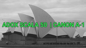 Shooting Adox Scala 50 around Sydney | Canon A-1