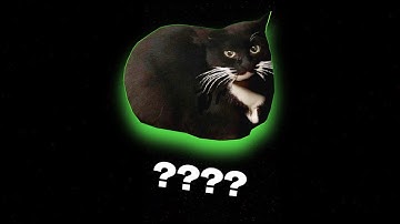 7 Maxwell The Cat Sound Variations in 84 seconds