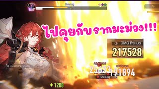 Himeko ขยี้ Svarog ( ❀ Pure fiction 4 ) เธอเกิดมาเพื่อสิ่งนี้ ❤️【 Honkai star rail 】