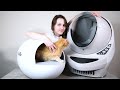 Litter-Robot III vs. ChillX AutoEgg: Which Automatic Litter Box is the Best?