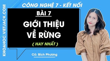 Công nghệ Lớp 7 Bài 7: Giới thiệu về rừng | Giải Công nghệ 7 | Kết nối tri thức (HAY NHẤT)