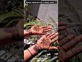 traditional mehndi 2026 #youtubeshorts #youtube #shorts #shortsfeed #explore #fyp #mehndi #art #fypシ
