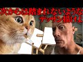 ある美術講師の話【猫ミーム】#猫meme #猫マニ #猫ミーム