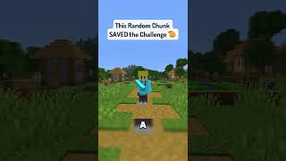 Minecraft, But Every Chunk was Random #minecraft