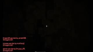 Minecraft: Hunger Games