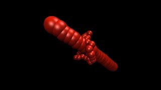 Statistical properties of lasso-shape polymers and their implications
