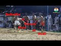 Balbedha vs kurana final at badli kabaddi cup    kabaddi24x7com
