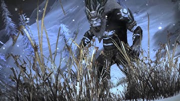 Guild Wars 2 - Guardian Skills