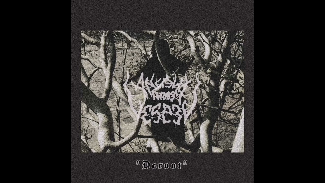 Ancient Future Vessel - DeRoot (Official Audio)