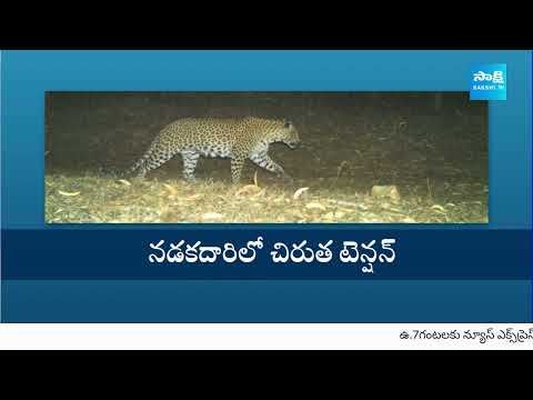 Leopard Hulchul At Tirumala: తిరుమలలో మరోసారి చిరుత కలకలం..| Tirumala Ghat Road Leopard Spotted - SAKSHITV