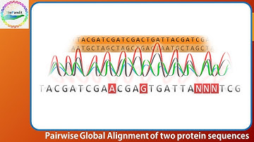 Pairwise Global Alignment of protein sequences