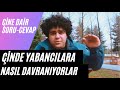 Çin'de Yabancılara Nasıl Davranıyorlar? 【SORU-CEVAP】