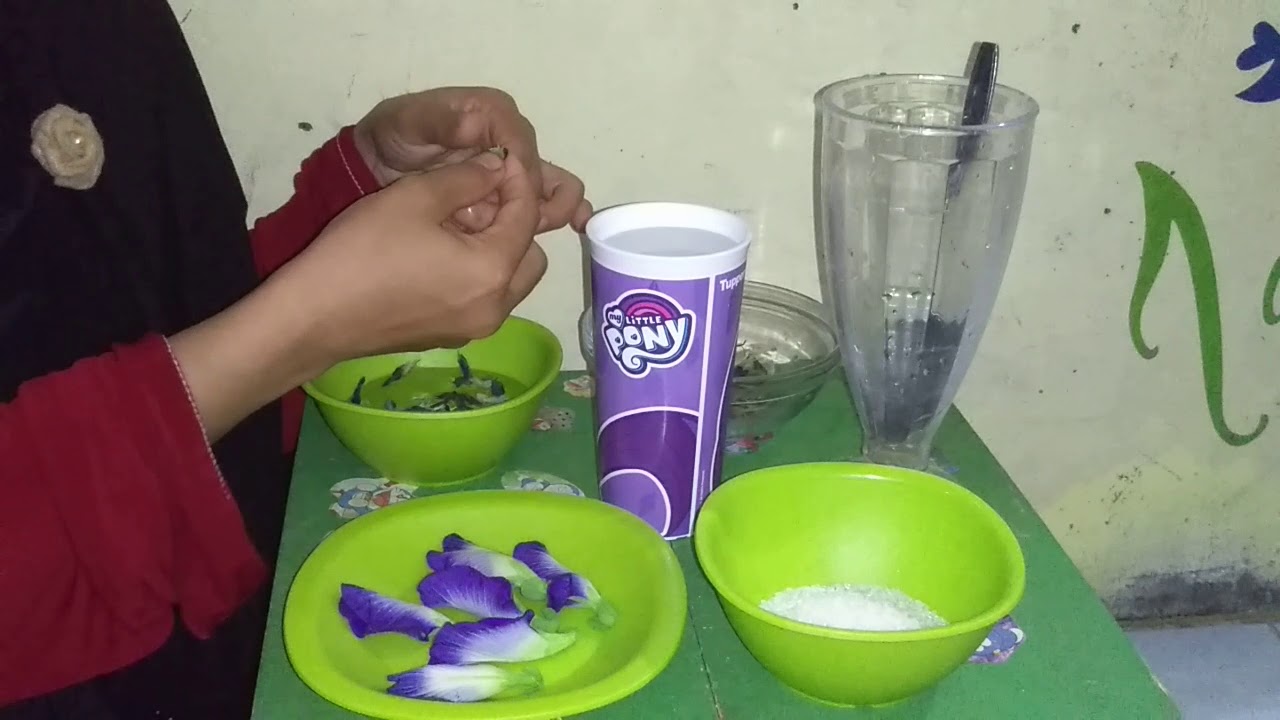 Membuat teh bunga telang 