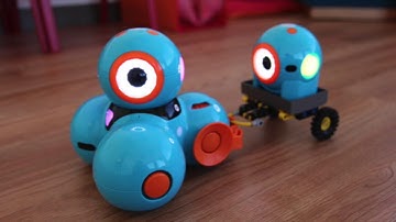 Dash & Dot