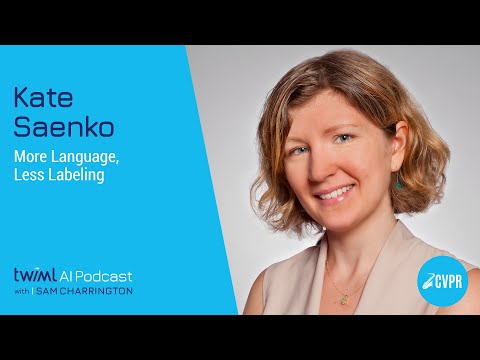 More Language, Less Labeling with Kate Saenko - #580 Episode cover