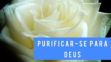 O que fazer para se purificar?