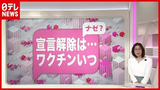 【解説】「新型コロナ」“緊急事態宣言” 解除？延長？ 東京で“感染”３日ぶり１０００人超（2021年1月26日放送「news every.」より）