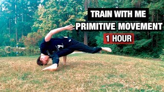 Primitive Movement // Animal Flow Session | TRAIN WITH ME | 1 Hour |