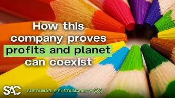 How Can Businesses Thrive While Saving the Planet? | Rajeev Peshawaria on Sustainable Sustainability