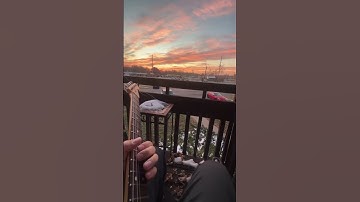 not today #redhotchilipeppers #zephyr #song #pov #guitar #shorts