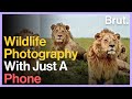 Wildlife Photography With A Phone