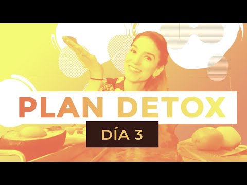 Detox plan 3 dias