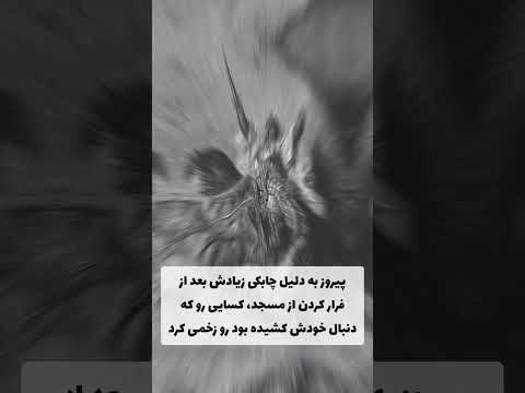 انتقام پیروز نهاوندی Shorts